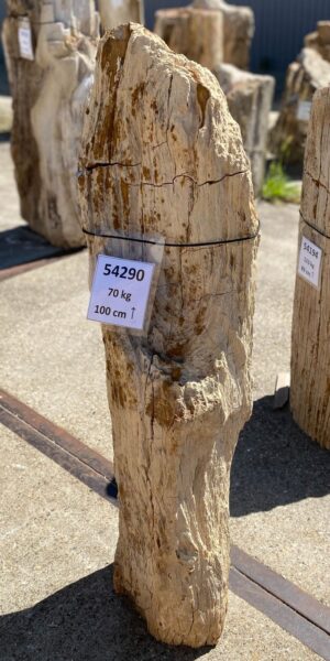 Grabstein versteinertes Holz 54290