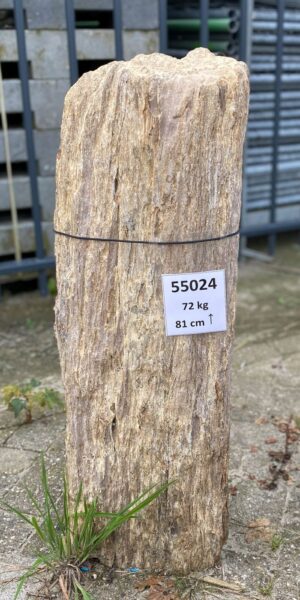 Grabstein versteinertes Holz 55024