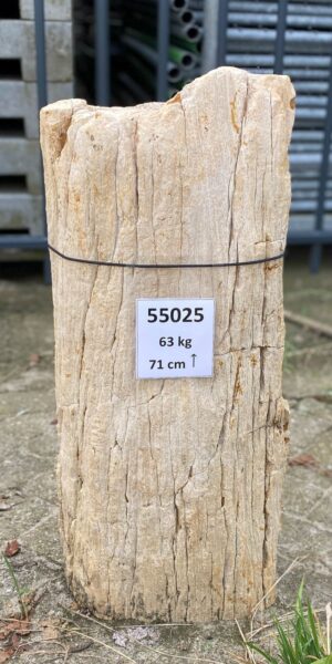 Grabstein versteinertes Holz 55025