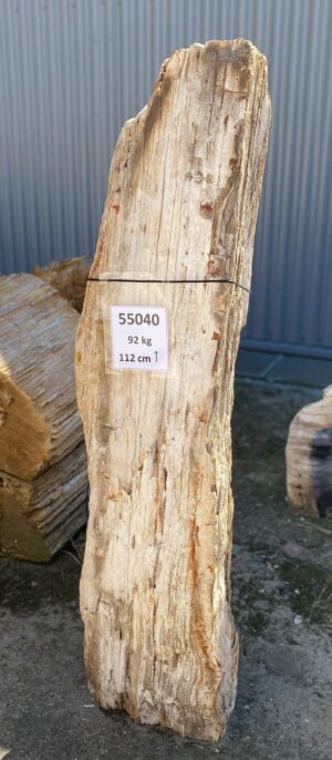 Grabstein versteinertes Holz 55040