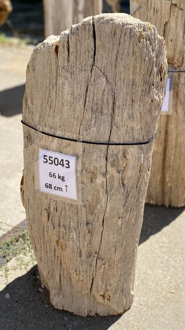 Grabstein versteinertes Holz 55043