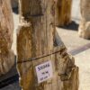 Grabstein versteinertes Holz 55046