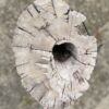 Grabstein versteinertes Holz 55048