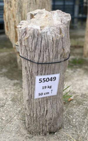 Grabstein versteinertes Holz 55049