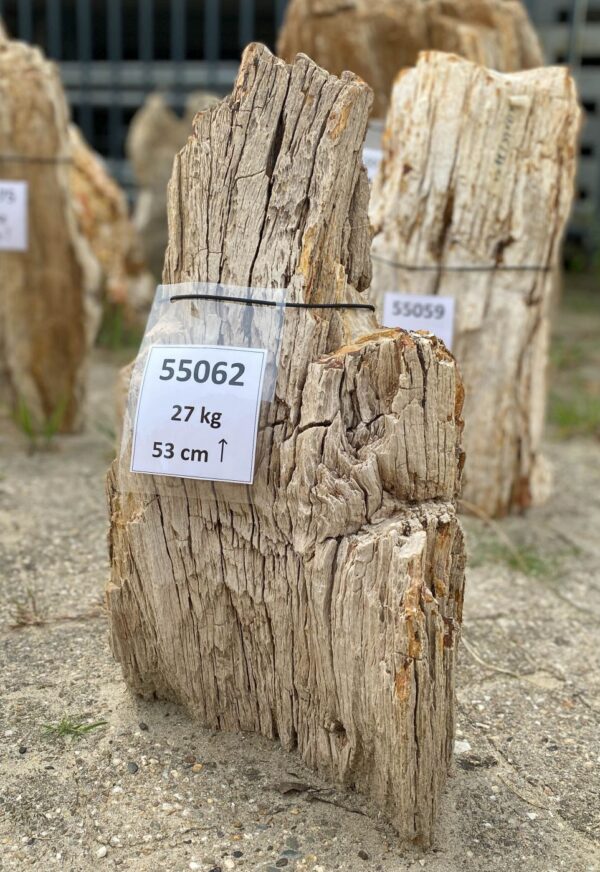 Grabstein versteinertes Holz 55062