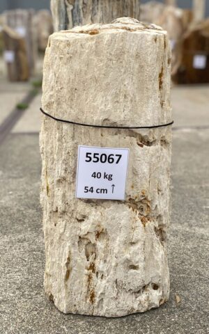 Grabstein versteinertes Holz 55067