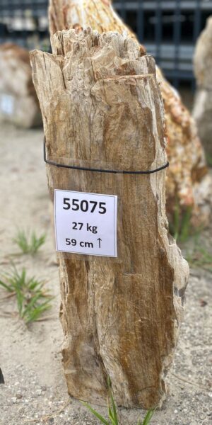 Grabstein versteinertes Holz 55075