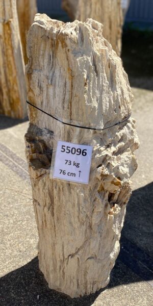 Grabstein versteinertes Holz 55096