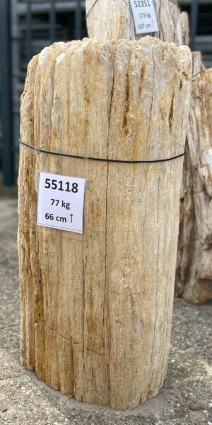 Grabstein versteinertes Holz 55118