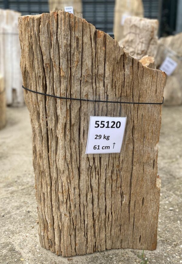 Grabstein versteinertes Holz 55120