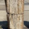 Grabstein versteinertes Holz 55129