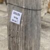 Grabstein versteinertes Holz 55131
