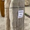 Grabstein versteinertes Holz 55131