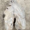 Grabstein versteinertes Holz 55131