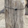 Grabstein versteinertes Holz 55131