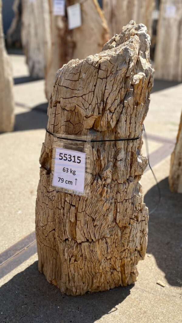 Grabstein versteinertes Holz 55315