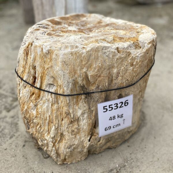 Grabstein versteinertes Holz 55326