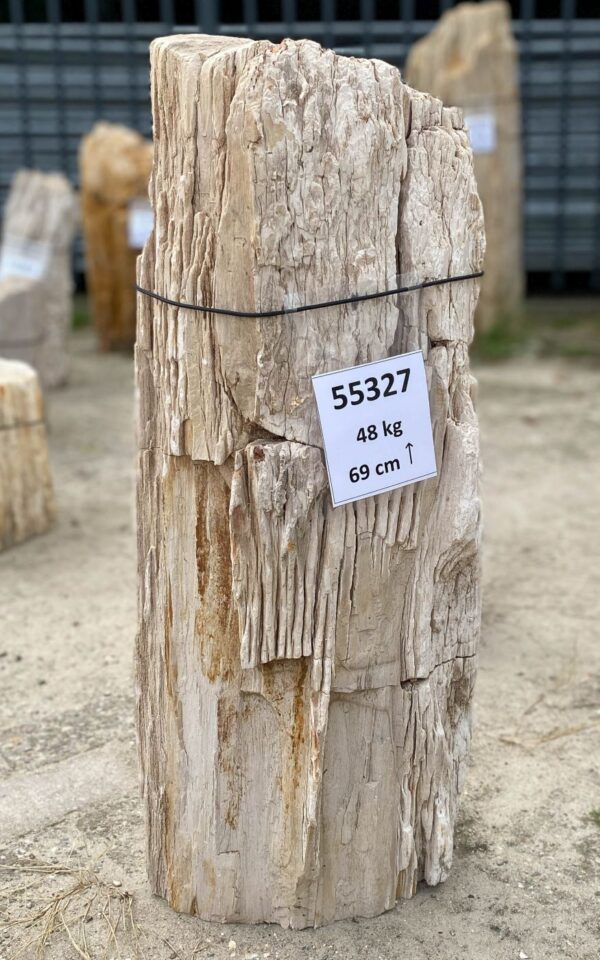 Grabstein versteinertes Holz 55327