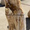 Grafsteen versteend hout 54153