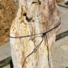 Grafsteen versteend hout 54153