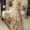 Grafsteen versteend hout 54158