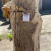 Grafsteen versteend hout 54159