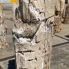 Grafsteen versteend hout 54159