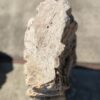 Grafsteen versteend hout 54159