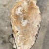 Grafsteen versteend hout 54165