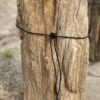 Grafsteen versteend hout 54165
