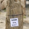 Grafsteen versteend hout 54166