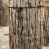 Grafsteen versteend hout 54170