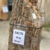Grafsteen versteend hout 54176