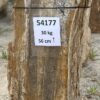 Grafsteen versteend hout 54177