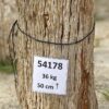 Grafsteen versteend hout 54178