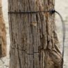 Grafsteen versteend hout 54178