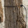 Grafsteen versteend hout 54178