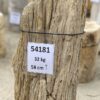 Grafsteen versteend hout 54181