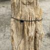 Grafsteen versteend hout 54181