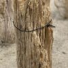 Grafsteen versteend hout 54181