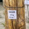 Grafsteen versteend hout 54183