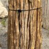 Grafsteen versteend hout 54183