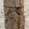 Grafsteen versteend hout 54184