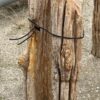 Grafsteen versteend hout 54185