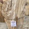 Grafsteen versteend hout 54187