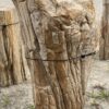 Grafsteen versteend hout 54187
