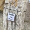 Grafsteen versteend hout 54188