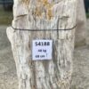 Grafsteen versteend hout 54188