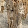 Grafsteen versteend hout 54188