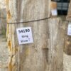 Grafsteen versteend hout 54190